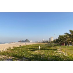 Com área 100% ampliada, nova restinga de Matinhos terá 600 mil mudas de árvores nativas